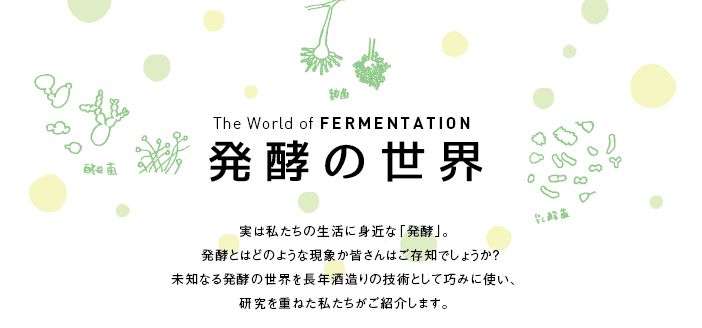 発酵の世界